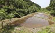【日本】サントリーHD、熊本・益城町で耕作放棄水田を湿地再生。森林・農地を流域一体管理