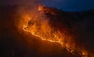 【カナダ】政府、自治体の気候適応141事業に約36億円投資。洪水・山火事・猛暑等に対応