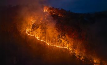 【カナダ】政府、自治体の気候適応141事業に約36億円投資。洪水・山火事・猛暑等に対応