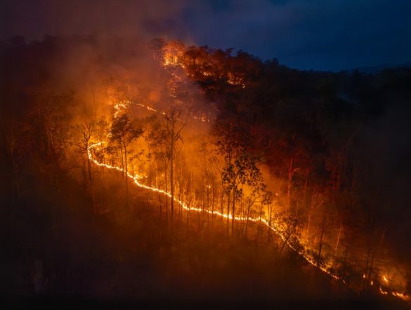 【カナダ】政府、自治体の気候適応141事業に約36億円投資。洪水・山火事・猛暑等に対応