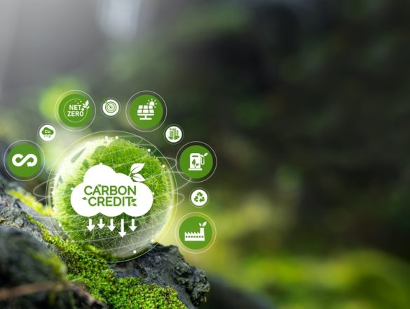 【国際】ICVCM、3つのプログラムをCCP適格承認。BioCarbonやCercarbono等。シェア95%到達