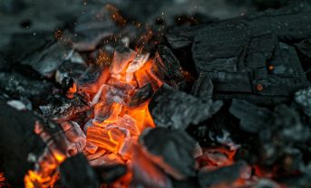 【ナミビア】FSC、FSC認証取得ナミビア産木炭で声明。メディアの調査報道に反応