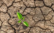 【国際】IIASA等、「気候インパクト・タクソノミー」開発。気候影響と気候変動適応策の関係整理