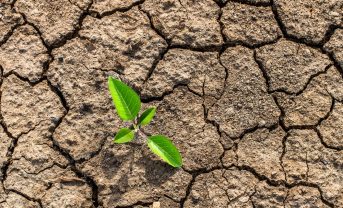 【国際】IIASA等、「気候インパクト・タクソノミー」開発。気候影響と気候変動適応策の関係整理