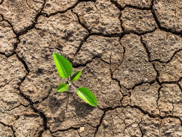 【国際】IIASA等、「気候インパクト・タクソノミー」開発。気候影響と気候変動適応策の関係整理