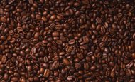 【国際】IDH、コーヒーでリジェネラティブ農業共同投資。第1号ALDI SÜD、4カ国30万人