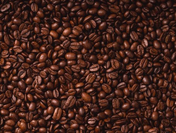 【国際】IDH、コーヒーでリジェネラティブ農業共同投資。第1号ALDI SÜD、4カ国30万人