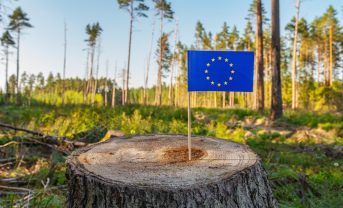 【EU】欧州委、EUDR委託法令改正。対象製品が一部変更。インスタントコーヒーや冷凍牛タンも