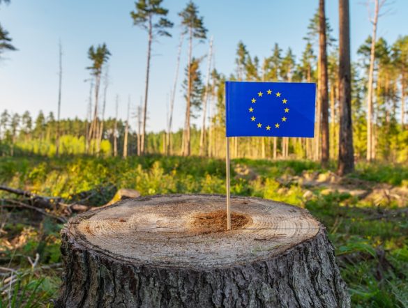 【EU】欧州委、EUDR委託法令改正。対象製品が一部変更。インスタントコーヒーや冷凍牛タンも
