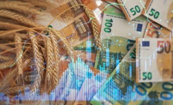 【国際】FAO食料価格指数、2022年以来の水準で高止まり。気象、地政学、法規制等の影響