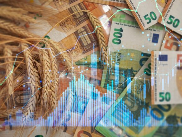 【国際】FAO食料価格指数、2022年以来の水準で高止まり。気象、地政学、法規制等の影響