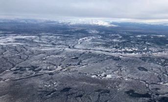 【国際】北方林の樹冠、永久凍土融解から土壌炭素約590億トン保護。初の定量化