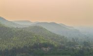 【国際】PM2.5が植物の水利用効率を低下。光合成阻害。中国・香港研究チーム論文