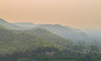 【国際】PM2.5が植物の水利用効率を低下。光合成阻害。中国・香港研究チーム論文