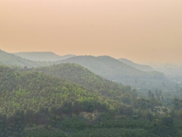 【国際】PM2.5が植物の水利用効率を低下。光合成阻害。中国・香港研究チーム論文