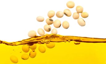 【トルコ】カーギル、大豆油由来の天然エステル絶縁液FR3の生産能力2倍に。データセンター等需要