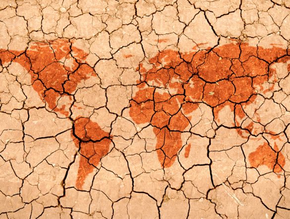 【国際】UNCCD・COP17、土地再生・旱魃レジリエンスに2100億円拠出。草原が主テーマ