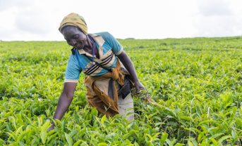 【東アフリカ】IFADとEquity、4カ国農家向け気候適応融資280億円。26万人・500社対象