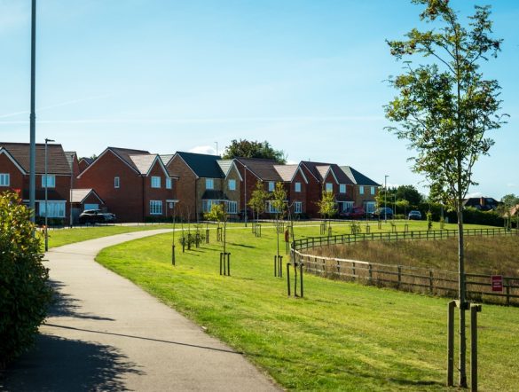 【イギリス】政府、デベロッパーに義務化された自然再生基金の遵守手順策定。ネイチャーポジティブ