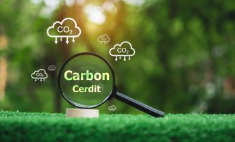 【国際】ICVCMと世銀、カーボンクレジットのdMRVの在り方で検討結果公表。ルール整備へ一歩漸進