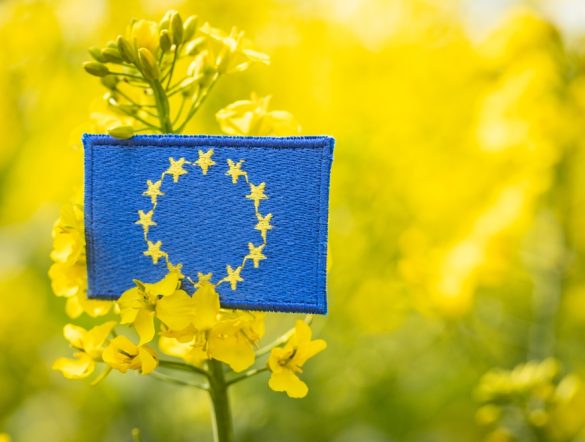 【EU】EU市民、異常気象を最大の農業リスクと認識。共通農業政策への支持は71%