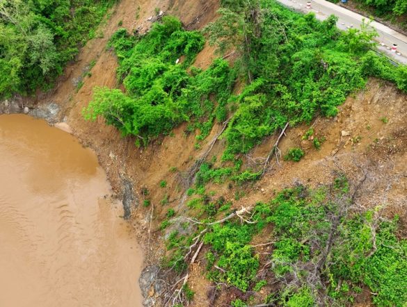 【国際】TNFDとUNEP FI、銀行CRO・リスマネ委員会向け自然関連ガイド発表。管理強化