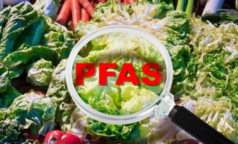 【日本】農畜水産物37品目、PFOA・PFOS摂取量が耐容一日摂取量下回る。水産物は注視。農水省
