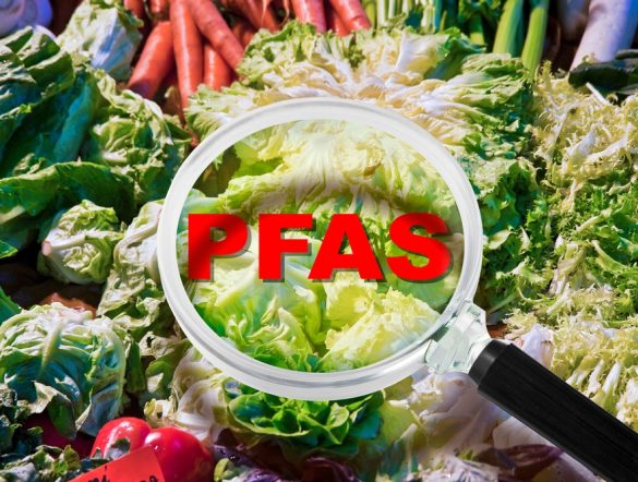 【日本】農畜水産物37品目、PFOA・PFOS摂取量が耐容一日摂取量下回る。水産物は注視。農水省
