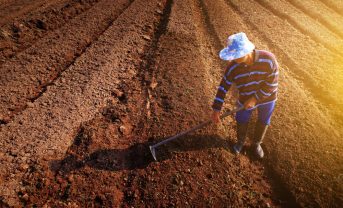【国際】FAO、世界の土壌劣化に警鐘。持続可能な土壌管理普及に遅れ、侵食が最大脅威