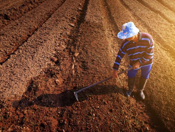 【国際】FAO、世界の土壌劣化に警鐘。持続可能な土壌管理普及に遅れ、侵食が最大脅威