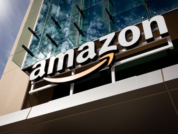 【日本】アマゾン、自然再生に2.2億円拠出。三大都市圏近郊でOECM認定目指す