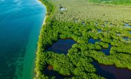 【国際】生物多様性条約COP 17、第1週で14本の決定採択。資金拠出や人権で対立続く