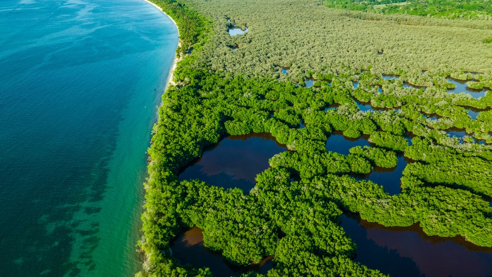 【国際】生物多様性条約COP 17、第1週で14本の決定採択。資金拠出や人権で対立続く 1 【国際】生物多様性条約COP 17、第1週で14本の決定採択。資金拠出や人権で対立続く 1