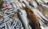 【EU】欧州委、漁業・養殖業ビジョン2040発表。トレーサビリティ強化やエネルギー転換等