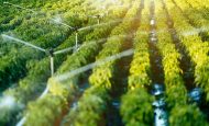 【国際】FAO、水安全保障と食料安全保障の一体対策要請。灌漑支援でデジタルプラットフォームも