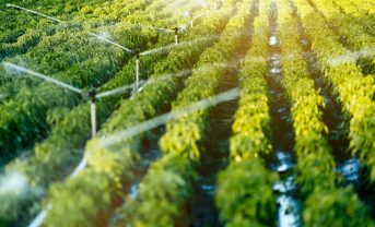 【国際】FAO、水安全保障と食料安全保障の一体対策要請。灌漑支援でデジタルプラットフォームも